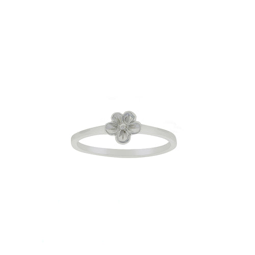 Silver Posy Ring