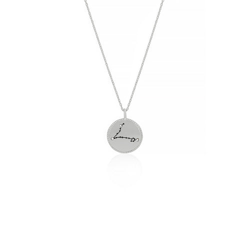 Silver Constellation Necklace - Pisces