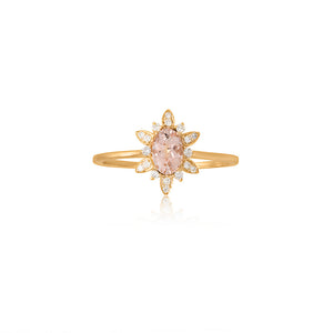9ct Yellow Gold Fleur Morganite Diamond Ring